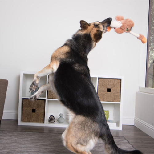 goDog™ Checkers™ Skinny Checkers Rooster Brown Dog Toy