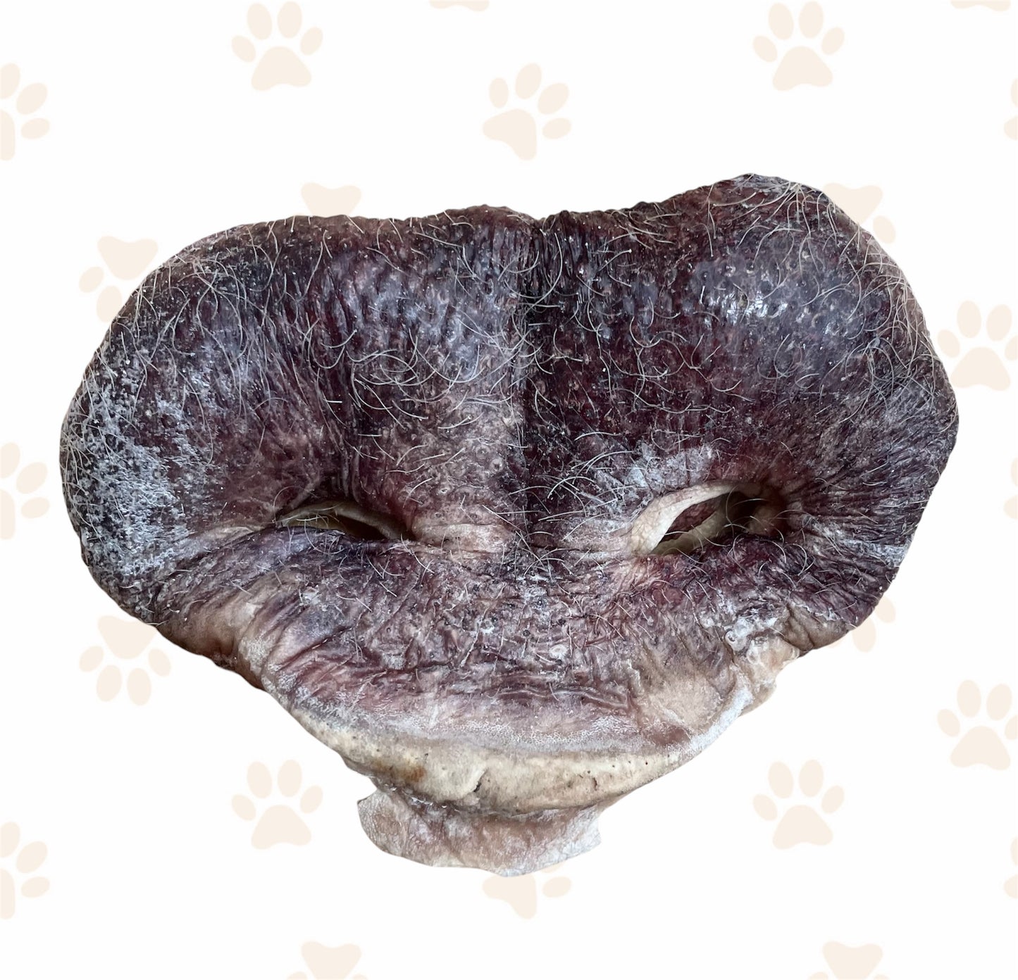 Freeze Dried Pig Snouts