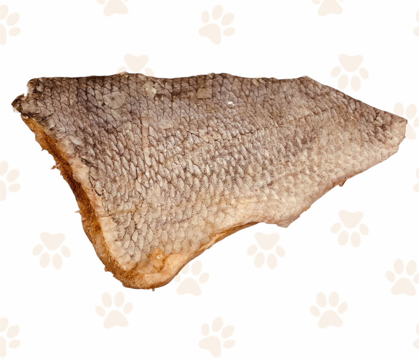 Silver Carp Fillets