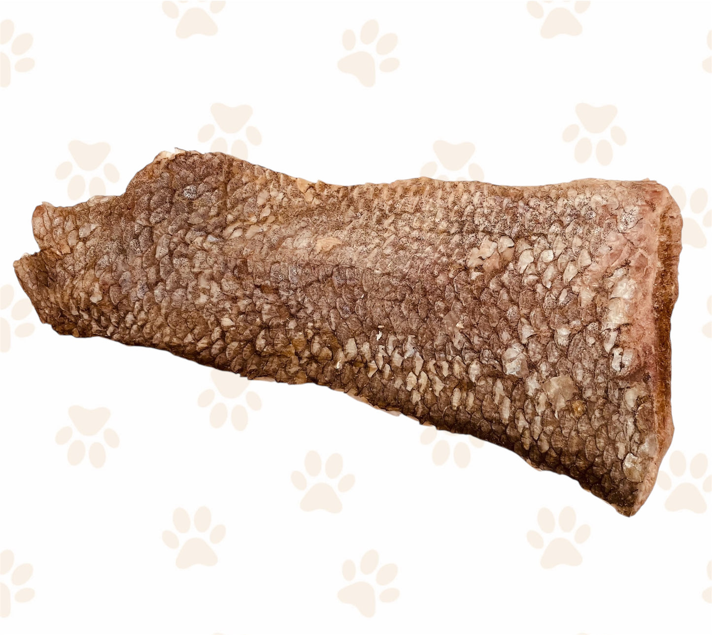 Silver Carp Fillets