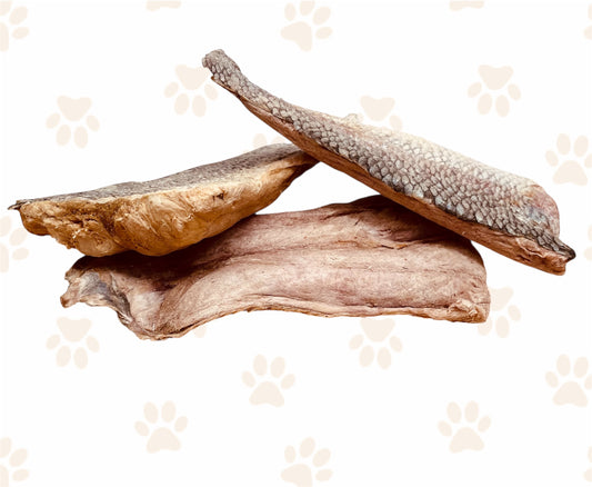 Silver Carp Fillets