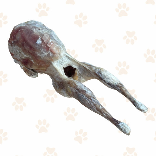 Whole Body Freeze Dried Quail