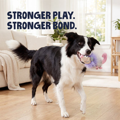 goDog® Urban Wildlife™ Pippa Possum Medium Dog Toy