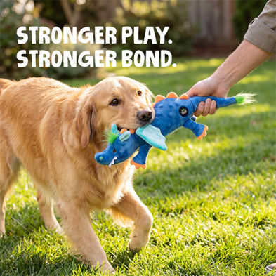 goDog® Dazzle Dragon Medium Dog Toy