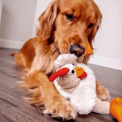 goDog Checkers Sitting Duck Dog Toy (Copy)