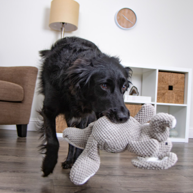 goDog® Checkers™ Squeaky Elephant Gray Large Dog Toy