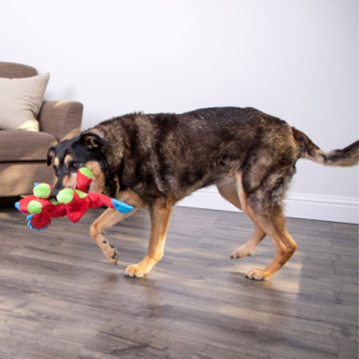 goDog Dinos™ Squeaky Dino Frills Red Large Dog Toy