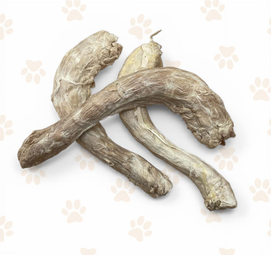 Freeze Dried Turkey Necks