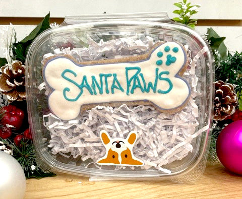 Large Holiday Gift Box - 1 Large Bone